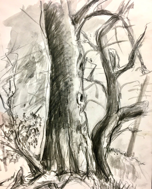 Caran d’Ache Watersoluble Materials with Adrian Weber