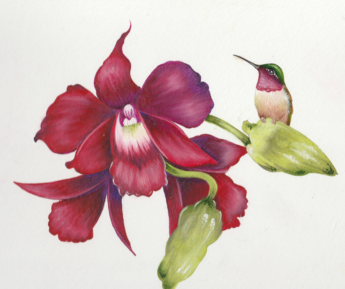 Water-Mixable Oils: Orchid & Hummingbird with Willow Wolfe