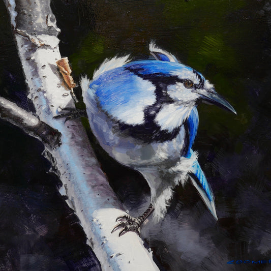 Oil Painting Birds & Wildlife with Bryan Coombes