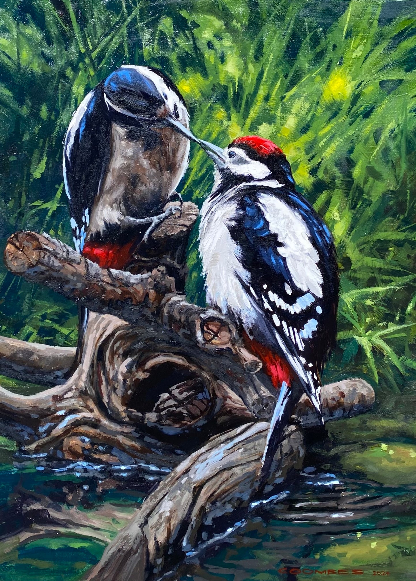 Oil Painting Birds & Wildlife with Bryan Coombes