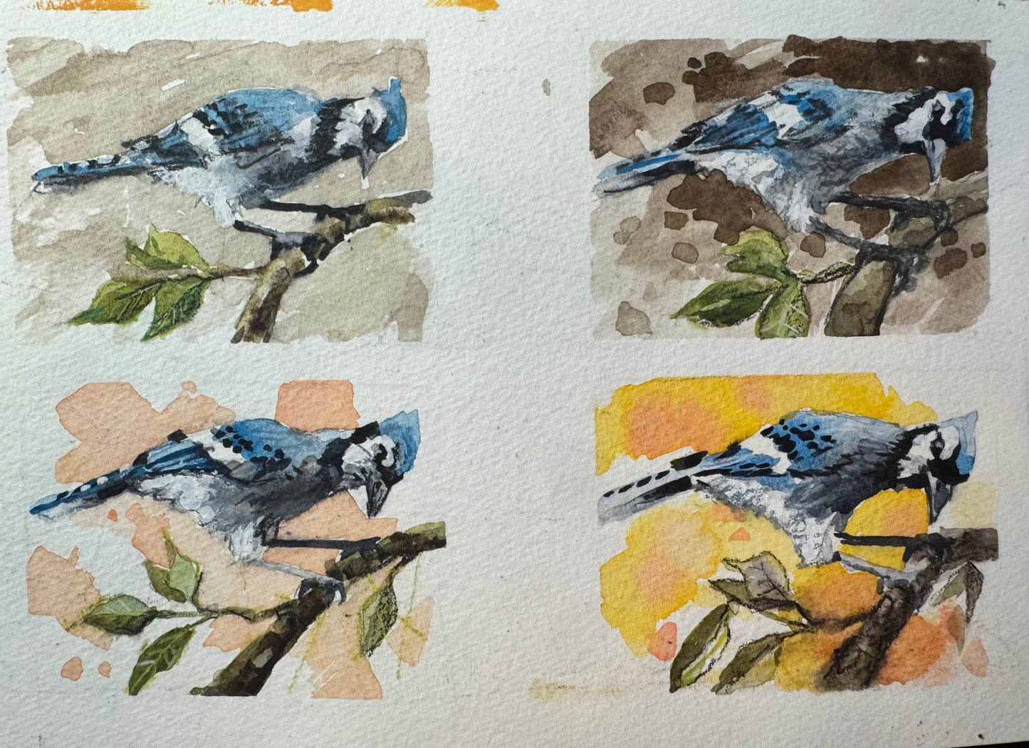 Oil Painting Birds & Wildlife with Bryan Coombes