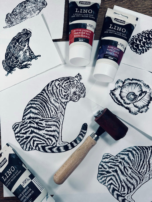 Discover Pébéo’s Brand New LINO with Max Black