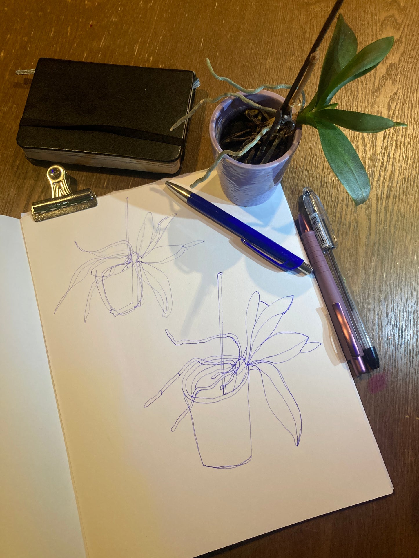 Gesture and Contour Drawing with Jen Burgess