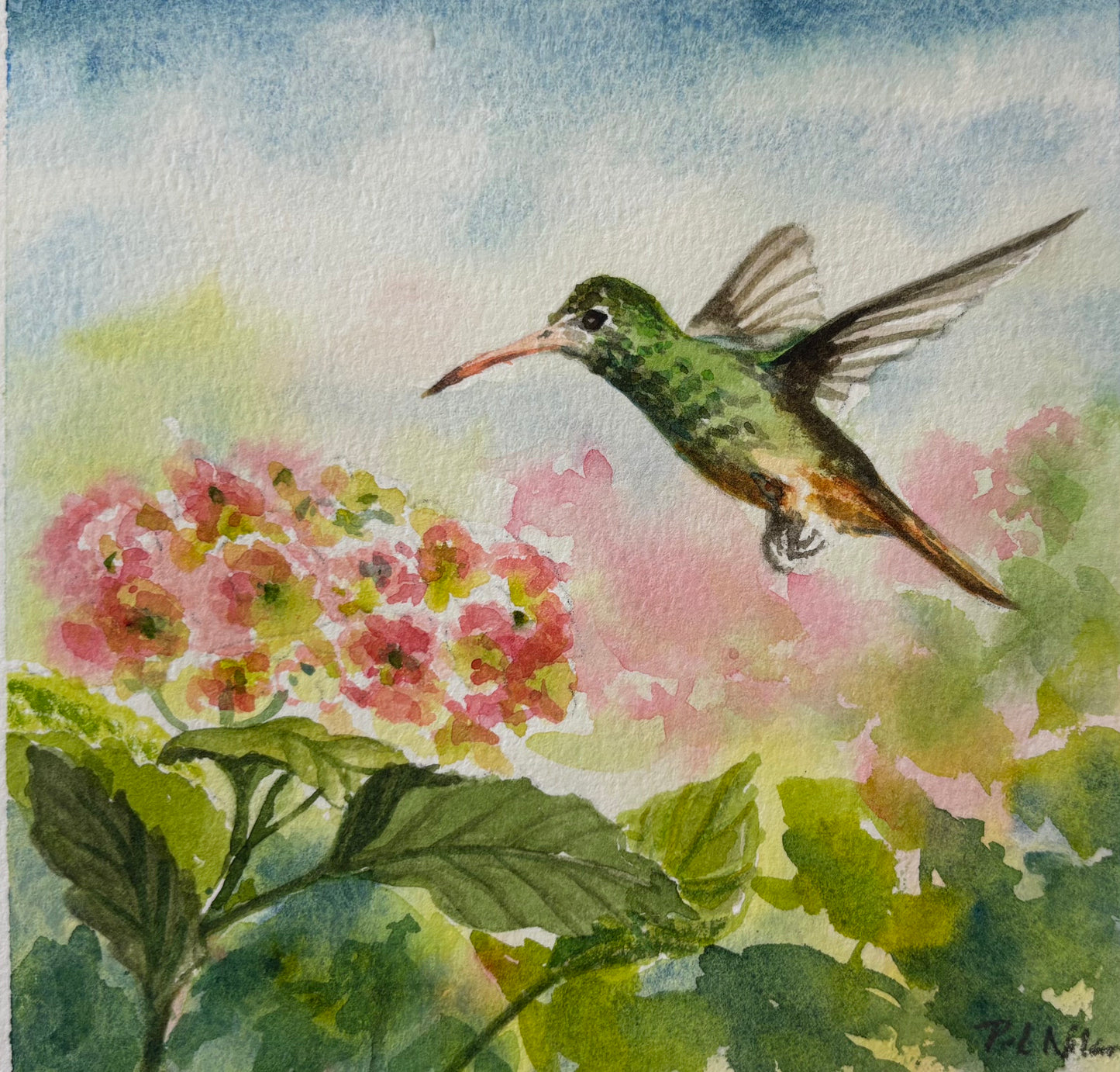Explore Opus Watercolour Essentials with Peri-Laine Nilan!