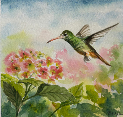 Explore Opus Watercolour Essentials with Peri-Laine Nilan!