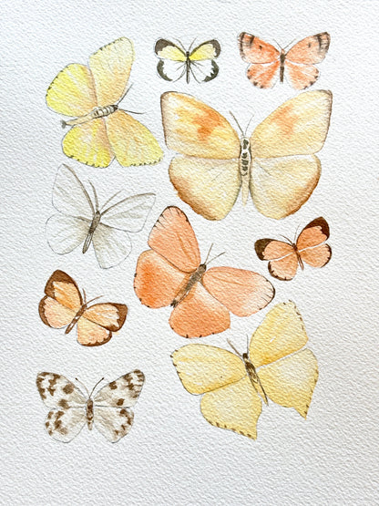 Explore Opus Watercolour Essentials with Paula Barrantes!