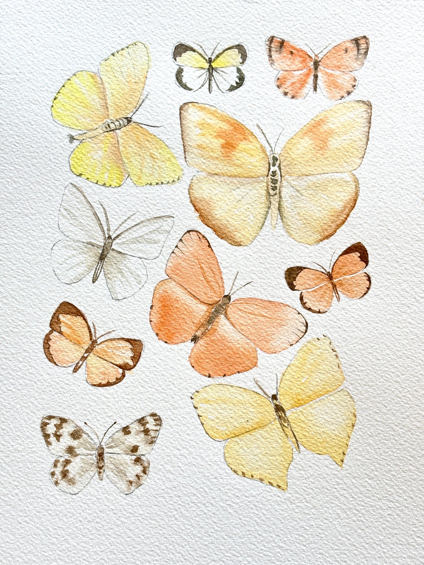 Explore Opus Watercolour Essentials with Paula Barrantes!