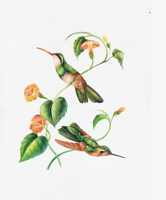 Vintage Hummingbirds with Willow Wolfe