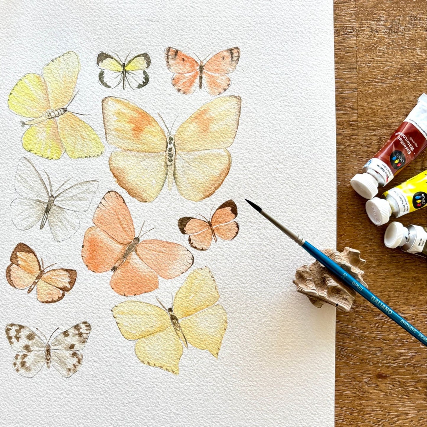 Explore Opus Watercolour Essentials with Paula Barrantes!