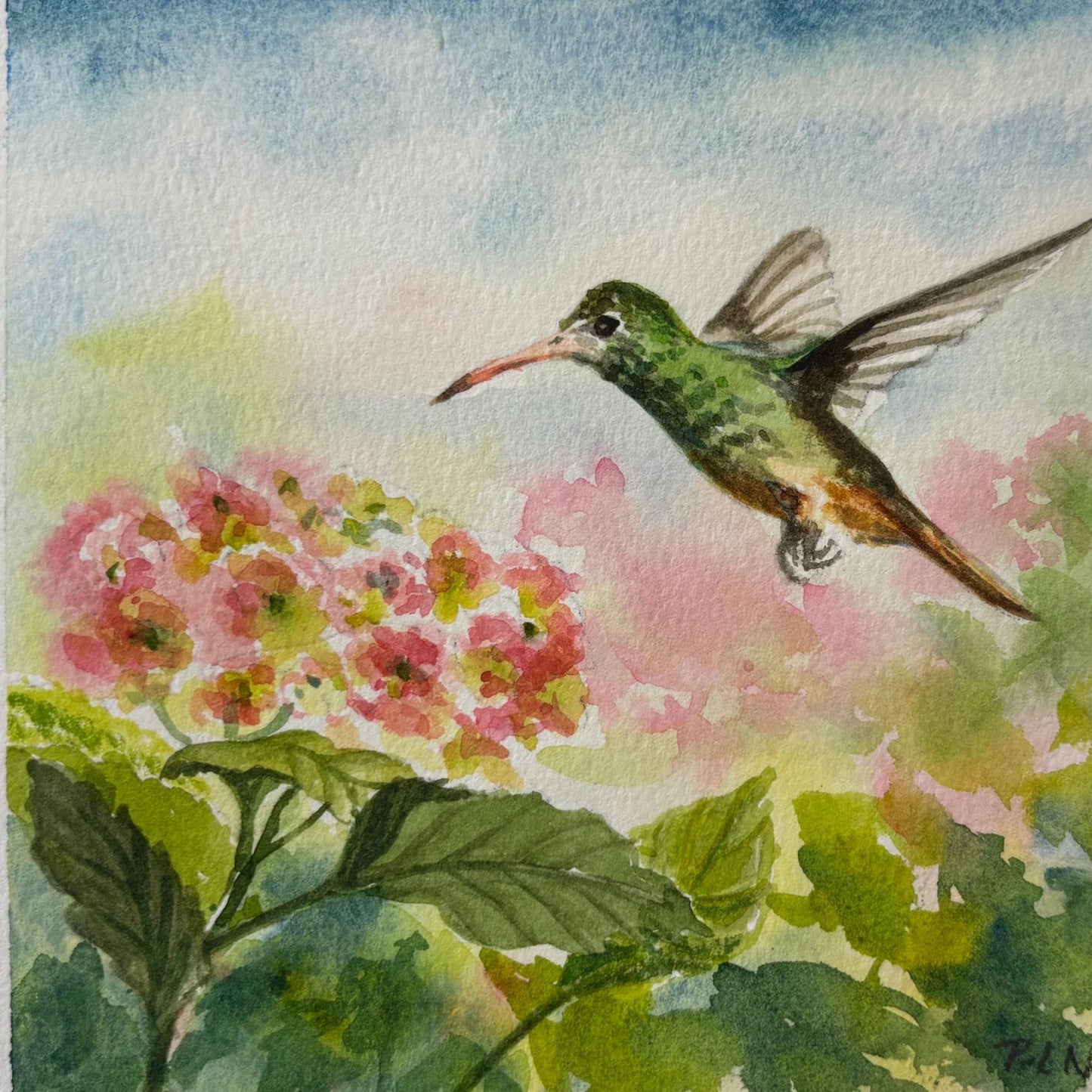 Explore Opus Watercolour Essentials with Peri-Laine Nilan!