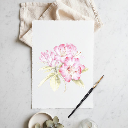 Watercolour Rhododendron Class with Willow Wolfe