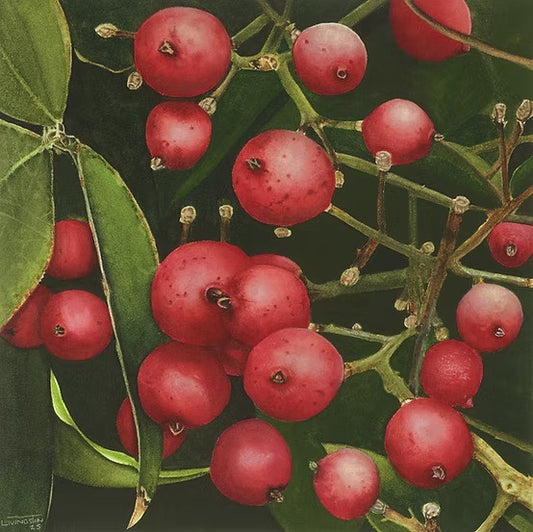 Winsor & Newton Professional Materials with Ian Livingston