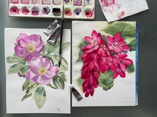 Winsor & Newton Professional Watercolour Materials with Tatiana Anisimova