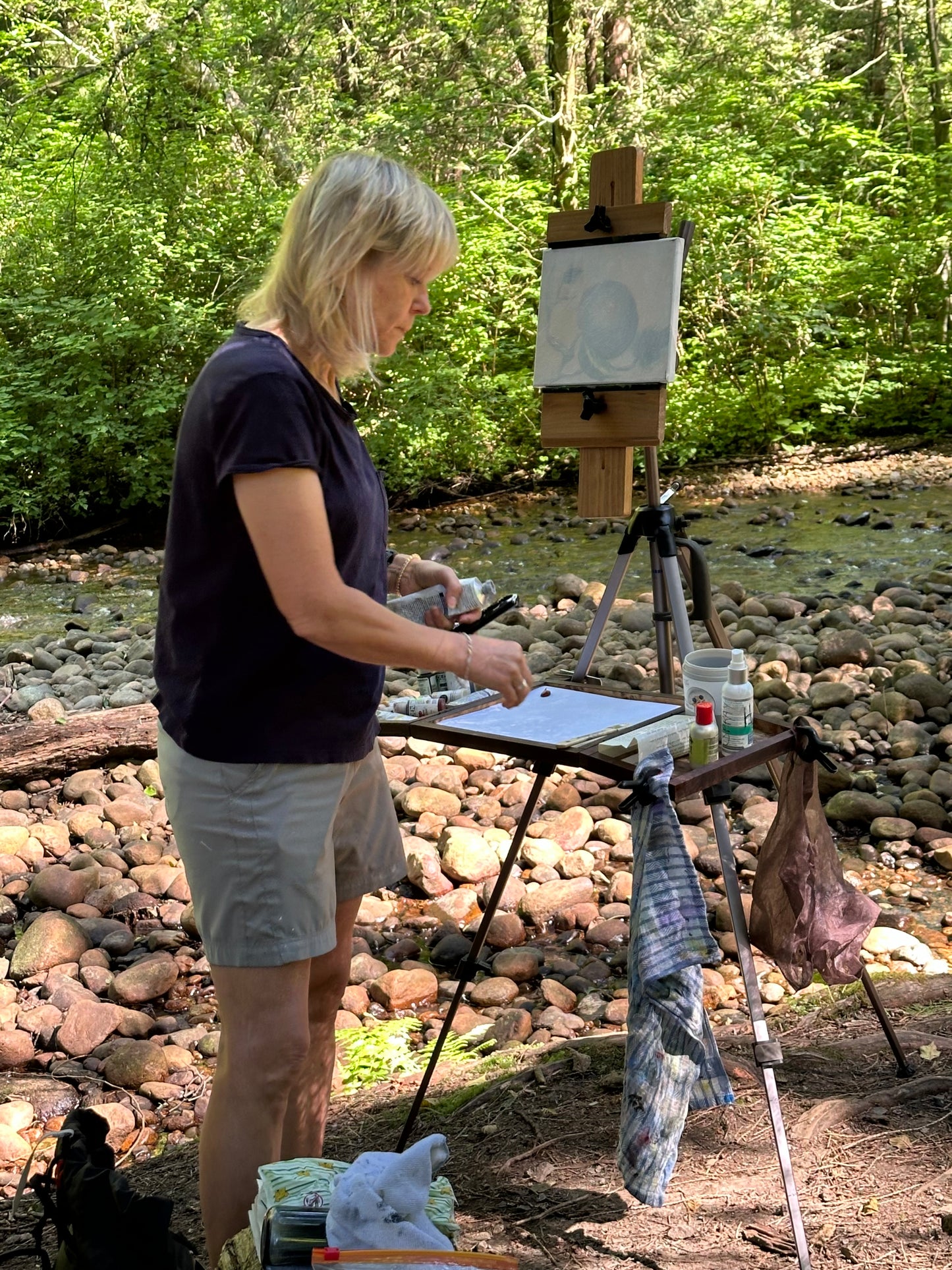 La North Shore Artists' Guild – les membres de Plein Air – rendent visite à Opus !
