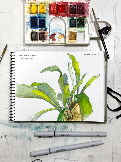 Winsor & Newton Cotman Watercolours: Painting a Botanical Fern with Reuben Negron