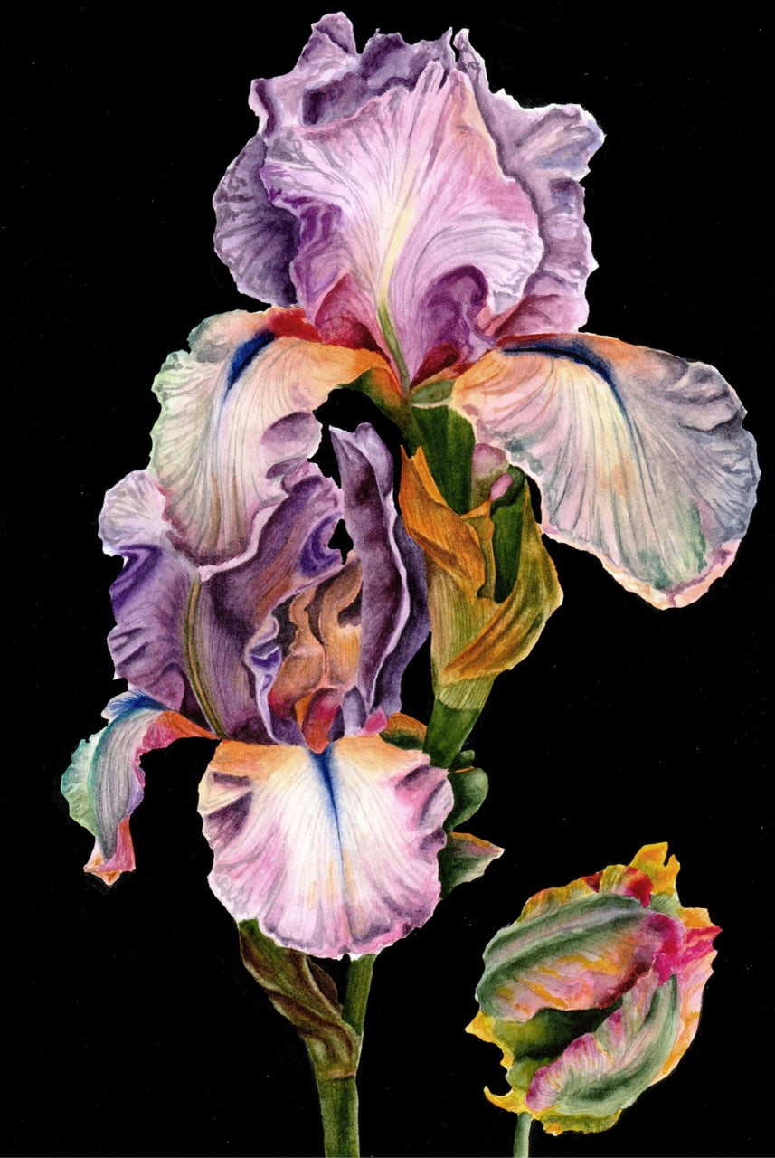 Creative Journeys: Premium Art Material Workshops with Julie Epp and Jess Craig