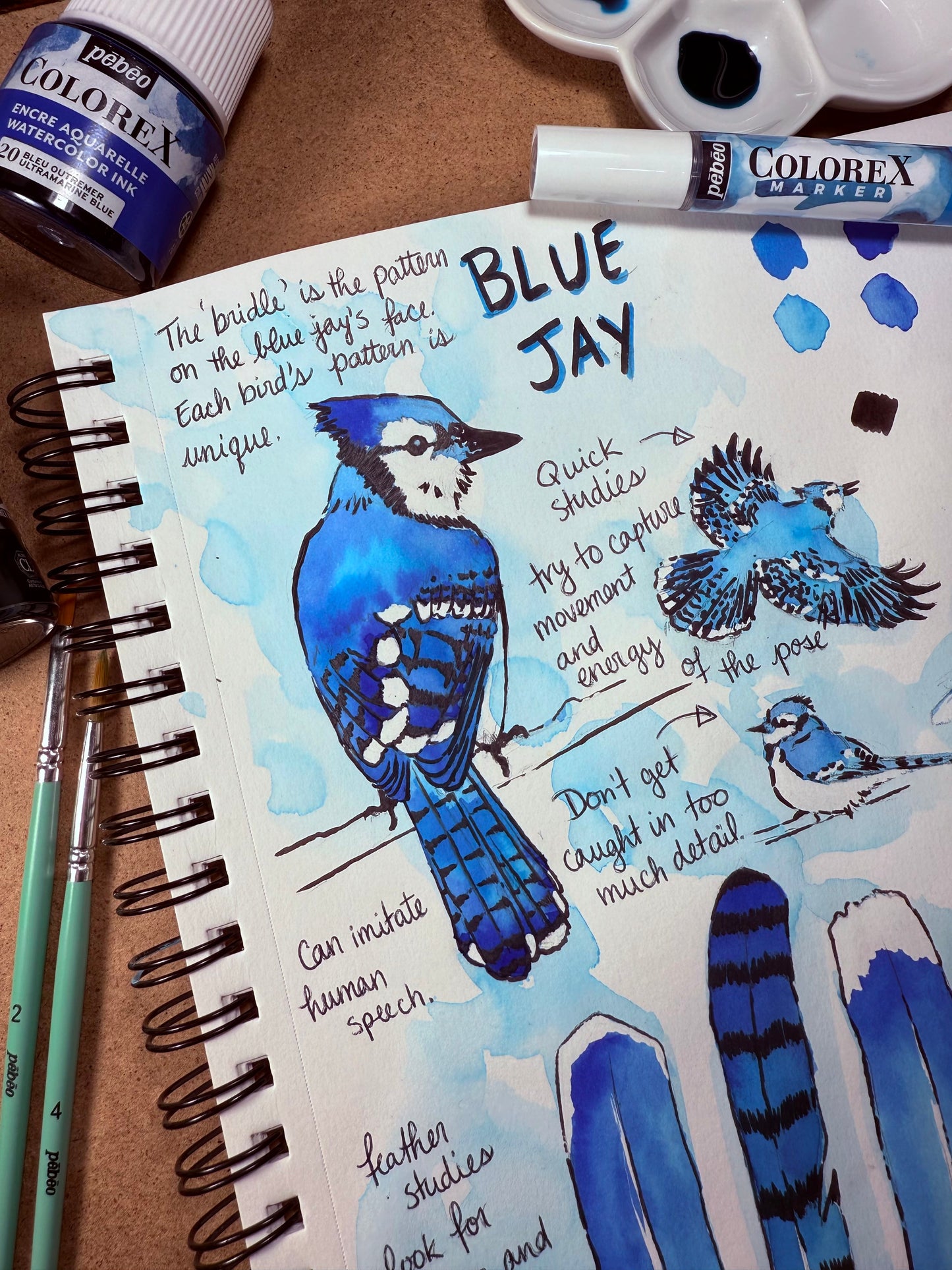 Plein-Air Nature Journaling with PEBEO ColorEx Watercolour Inks