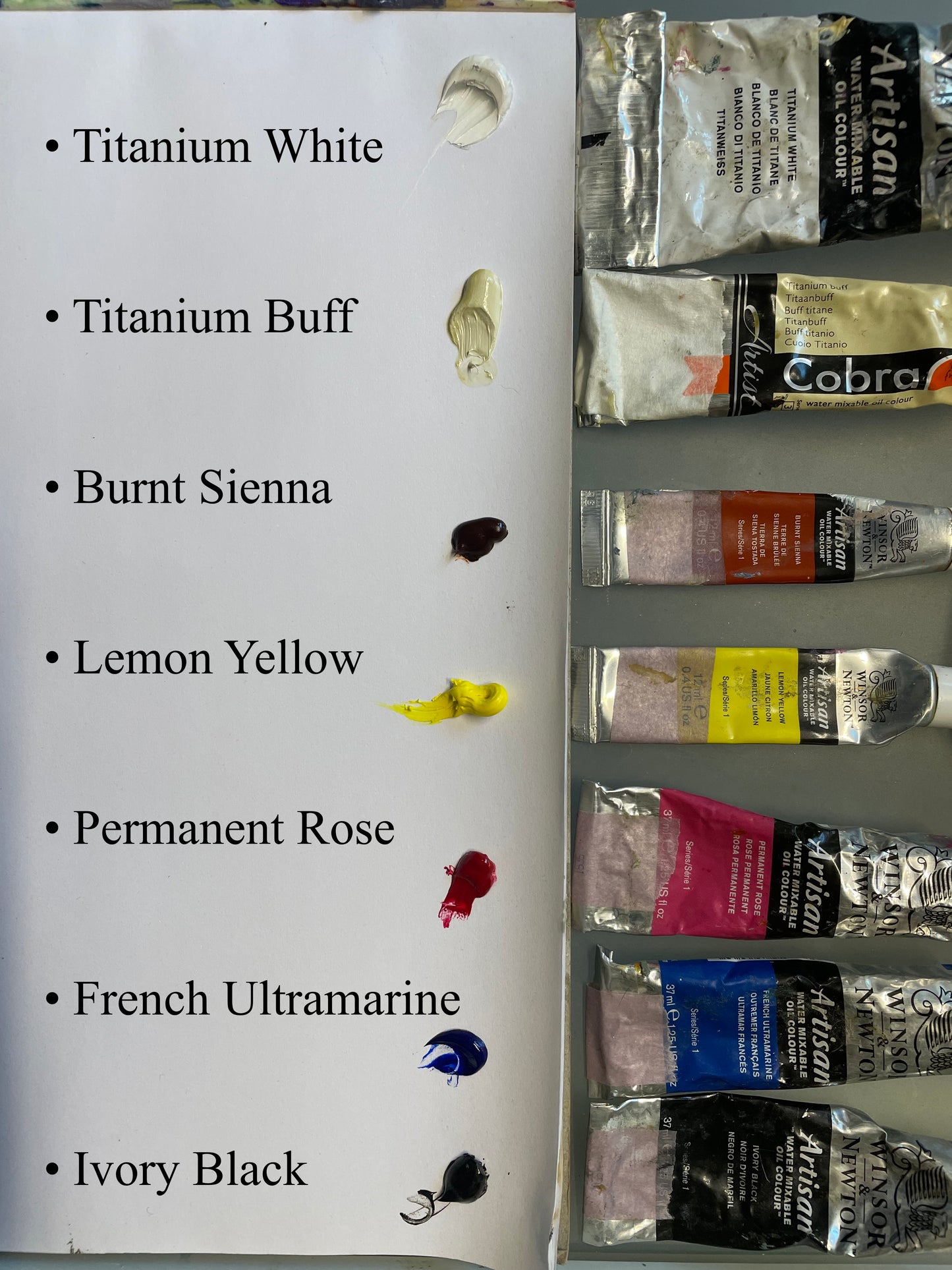 Water-Mixable Oils: Painting Luminous White Flowers with Tatiana Anisimova