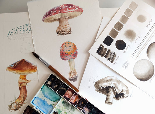 Painting Watercolour  Mushrooms with Sophia Longo