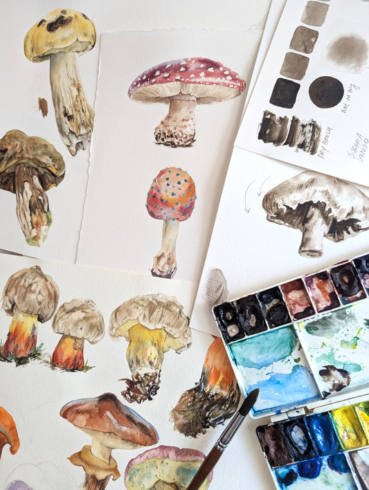 Painting Watercolour  Mushrooms with Sophia Longo