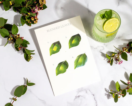 Water-Mixable Oils: Blending Leaves with Willow Wolfe