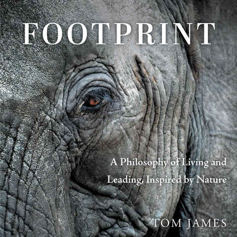 What We Create Together: Creative Communities and the Footprint We Leave