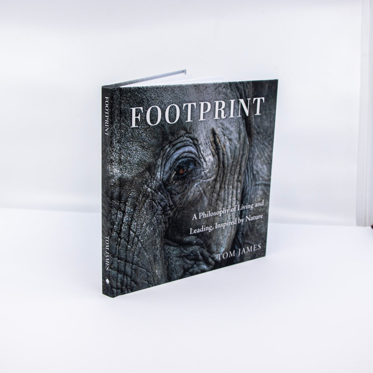 What We Create Together: Creative Communities and the Footprint We Leave
