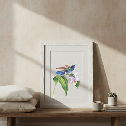 Willow Wolfe Oil Workbook - Vintage Hummingbirds