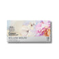 Winsor & Newton Cotman Watercolour Willow Wolfe Set of 12