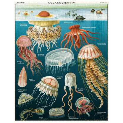 Cavallini 1,000 Piece Puzzle Jellyfish