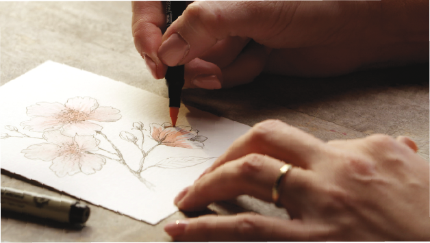 Sakura Creative Kit - Cherry Blossom