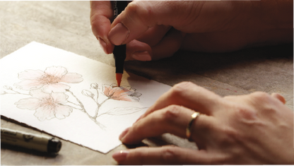 Sakura Creative Kit - Cherry Blossom