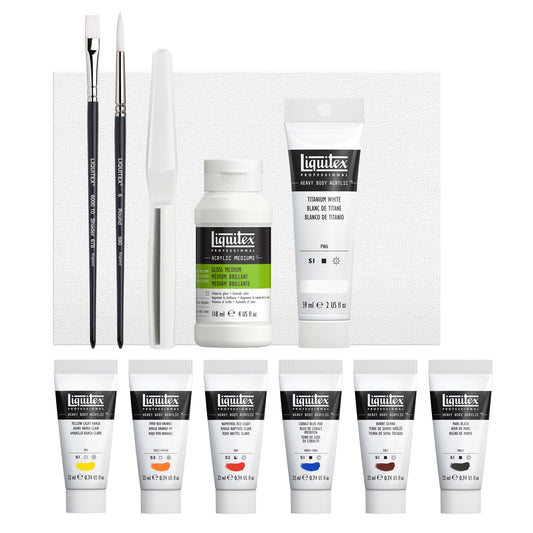 Liquitex Professional Heavy Body Acrylics Pro Starter Set of 12