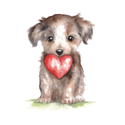 Willow Wolfe Watercolor Workbook - So Much Love