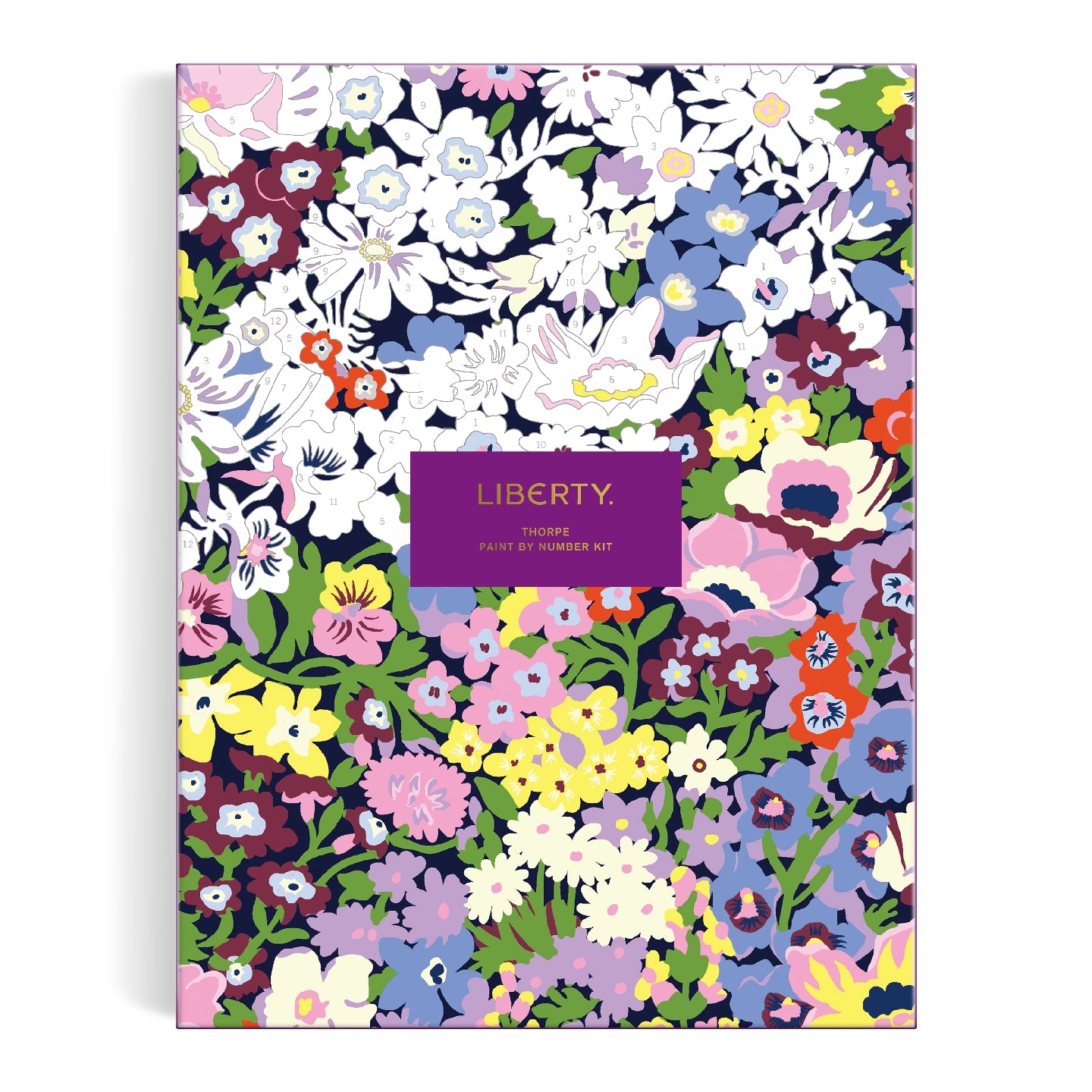 Liberty Paint-by-Number Kit - Thorpe