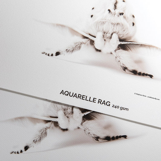 Canson® Infinity Aquarelle Rag 240 gsm - Matte