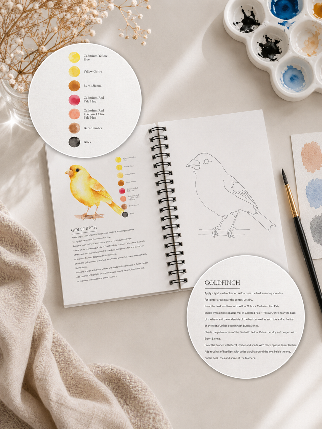 Willow Wolfe Watercolor Workbook - Beautiful Birds