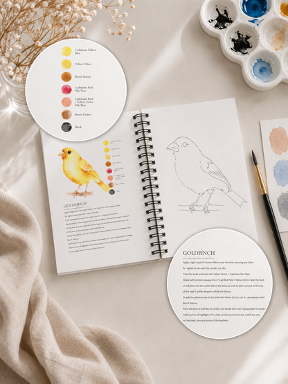 Willow Wolfe Watercolor Workbook - Beautiful Birds