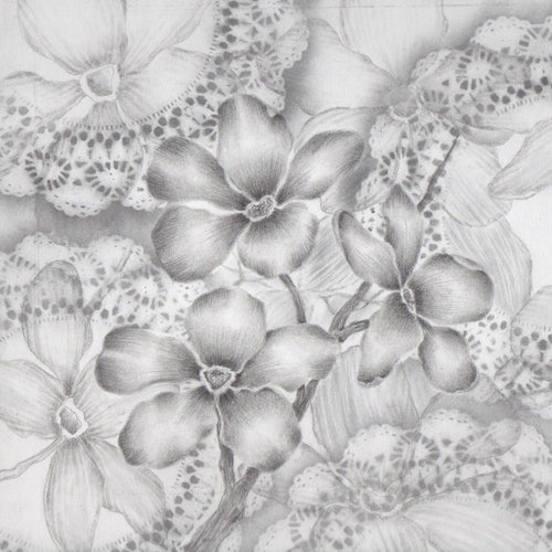 Drawing with Kathi Hanson
