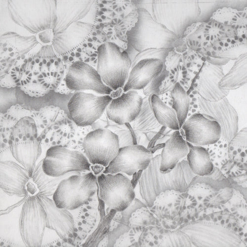 Drawing with Kathi Hanson