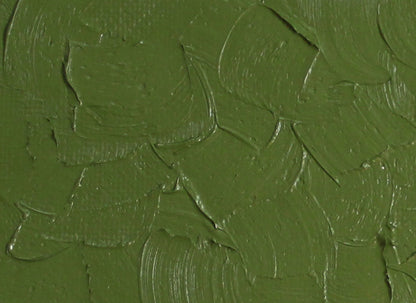 Gamblin Artist's Oil Colors - Brown or Green