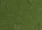 Gamblin Artist's Oil Colors - Brown or Green