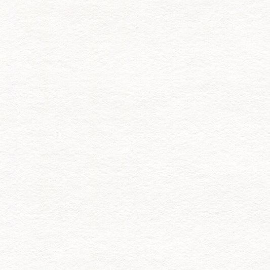 Canson Classic Cream Drawing Paper Sheet 18" x 24"