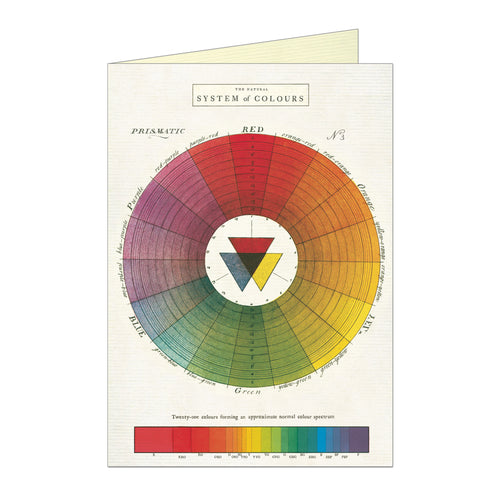 Cavallini Greeting Card & Envelope - Color Wheel