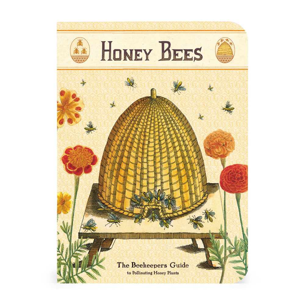 Cavallini Large Notebook - Bees & Honey