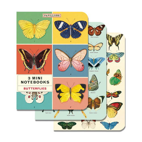 Cavallini Mini Notebook Pack of 3 - Butterflies