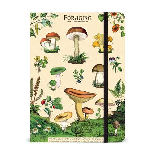 Cavallini Large Notebook - Foraging