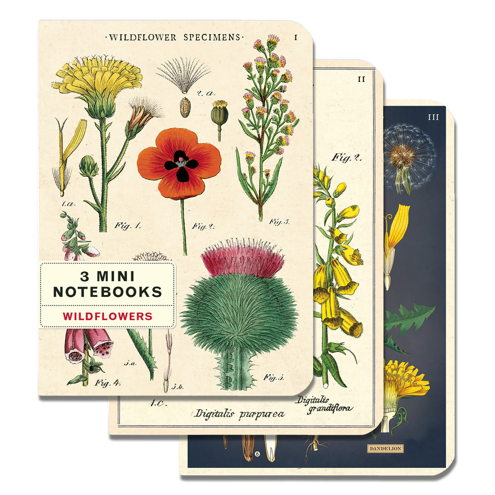 Cavallini Mini Notebook Pack of 3 - Wildflowers