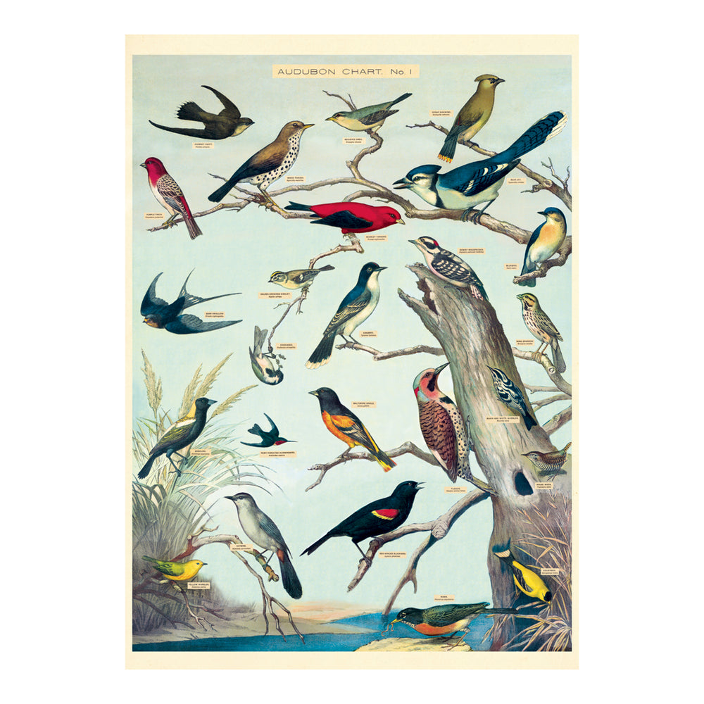 Cavallini Wrap Sheet 20" x 28" - Birds