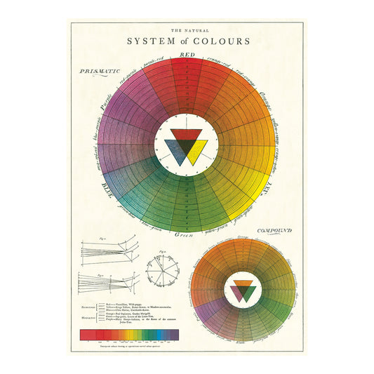Cavallini Wrap Sheet 20" x 28" - Color Wheel